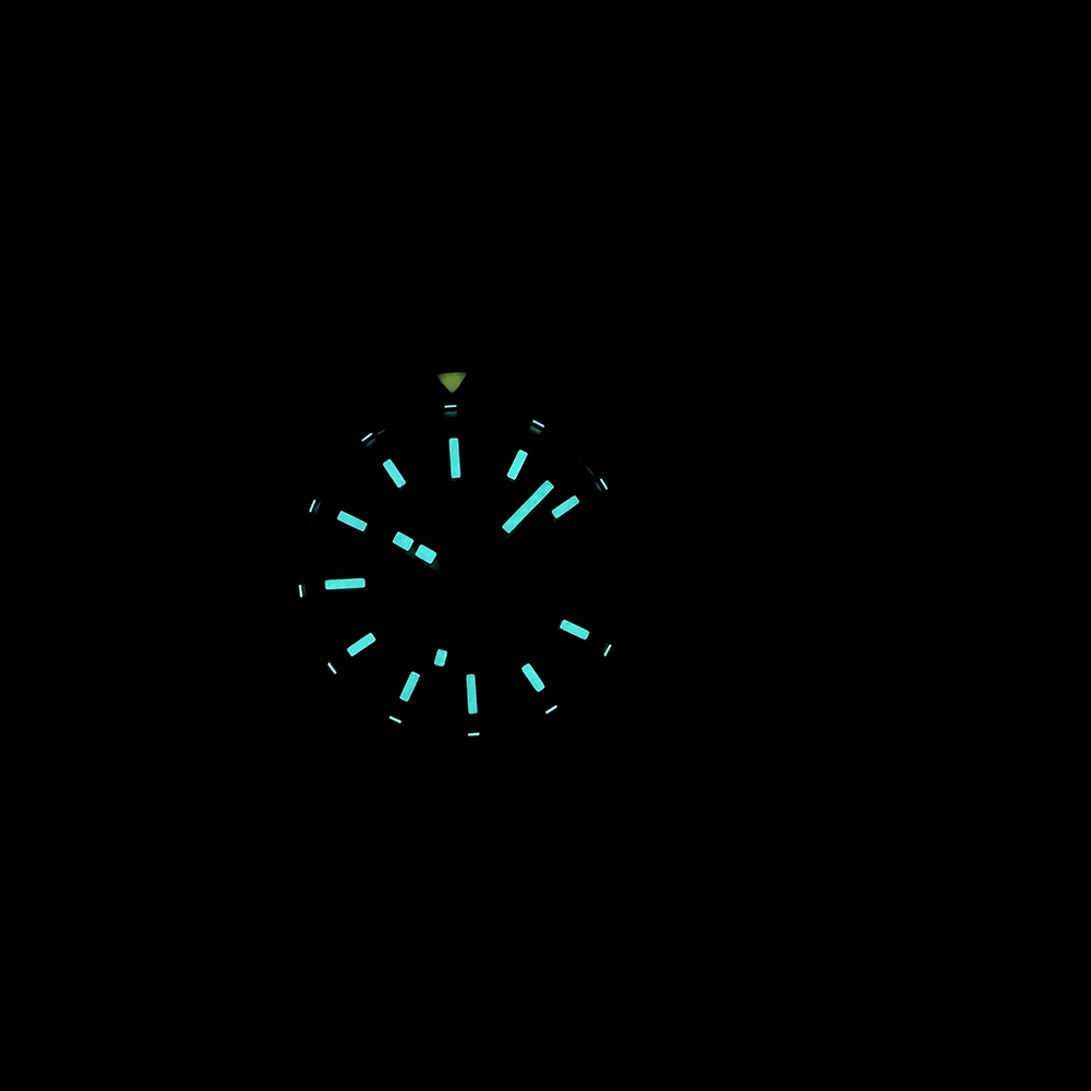 STEELDIVE Official SD1927 BGW9 - đánh giá và giá Seiko Watch Prospex
